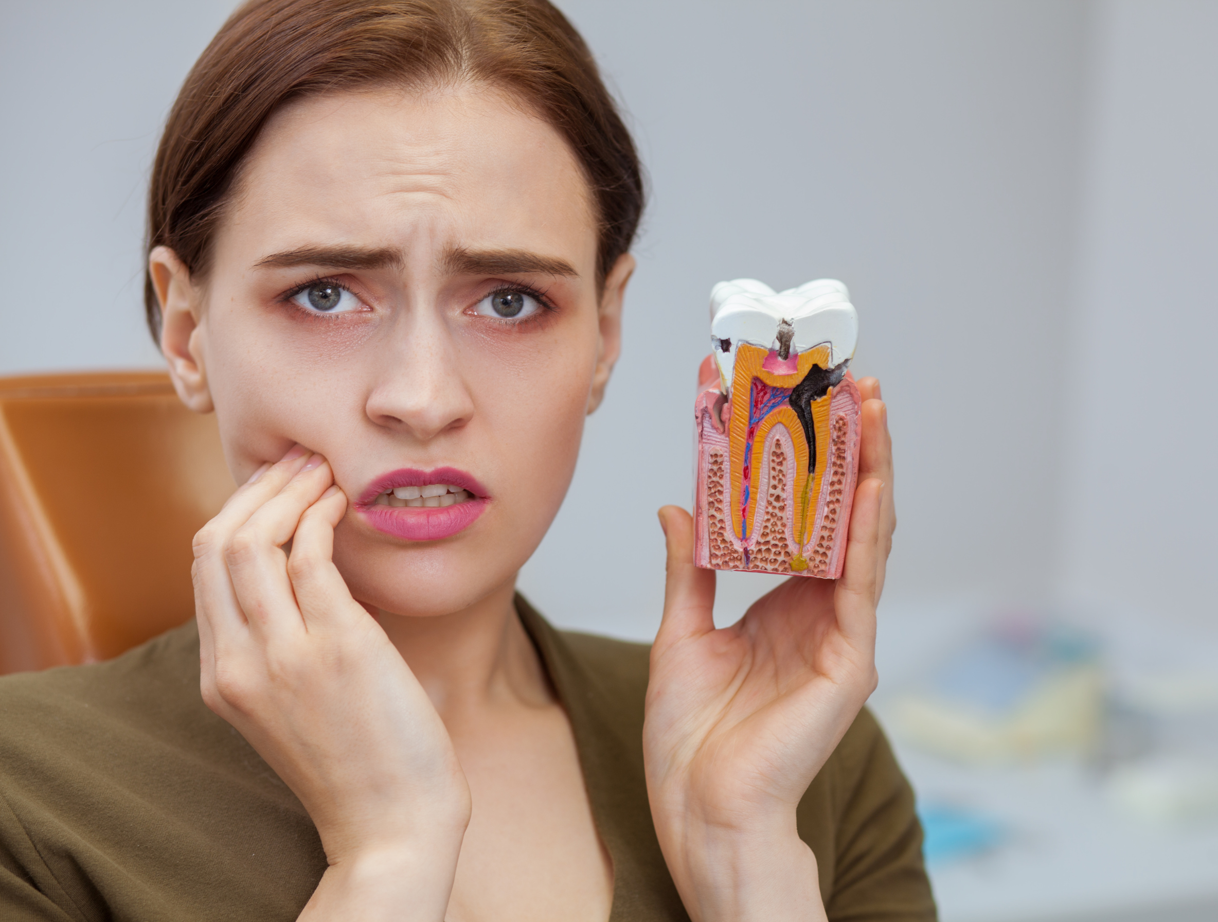 Woman touching her cheek in pain while holding a model of an infected tooth